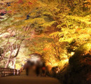名古屋・千種区『東山動植物園』